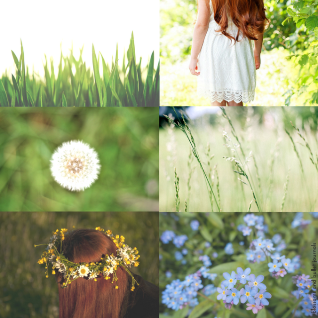 anne aesthetic.png