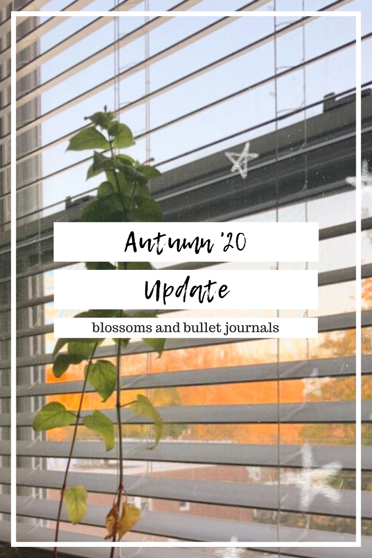 A plant in front of a window, with orange-leaved trees outside and white stars overlaid on top of the image; text reads "Autumn '20 Update" and "Blossoms and Bullet Journals"